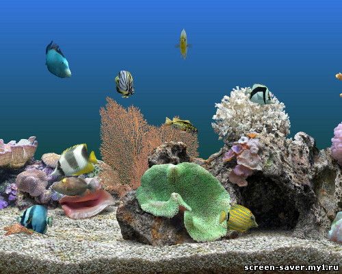 Marine Aquarium 3.5.9 