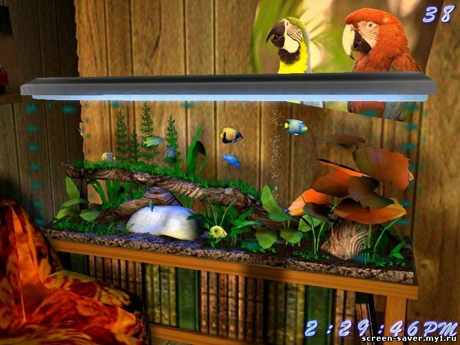 3D Bungalow Aquarium Screensaver 1.1