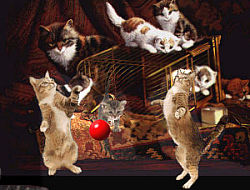 скринсейвер CATS PLAY